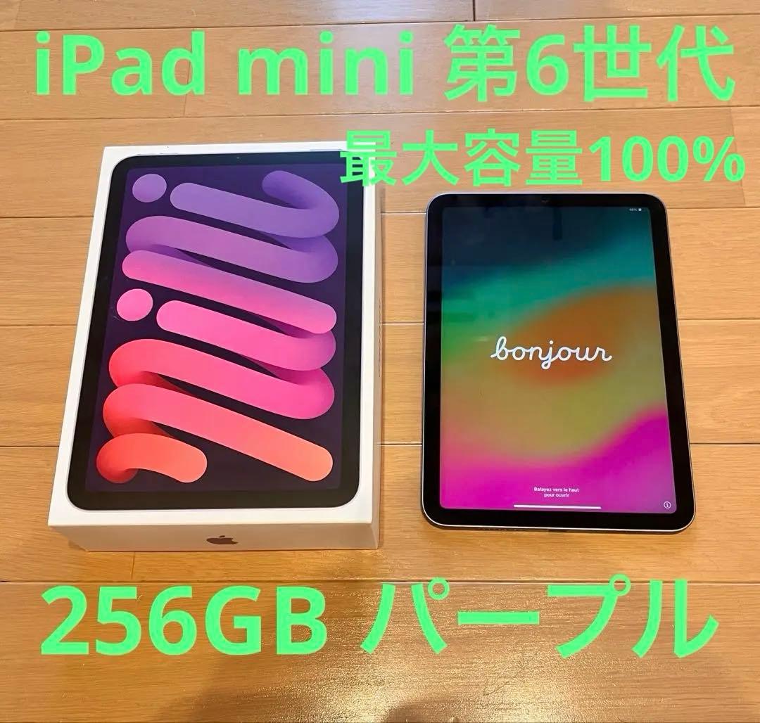 Apple iPad mini 第6世代　256GB