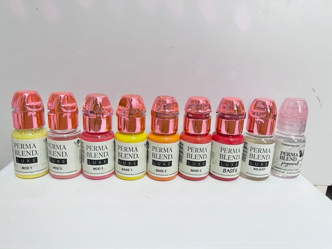 PERMA BLEND LUXE ダークリップコレクション【ほぼ未使用】