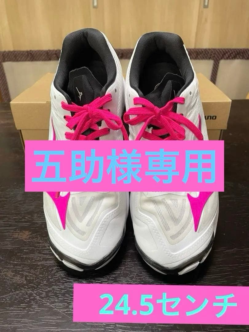 Mizuno バレーボールシューズ 24.5