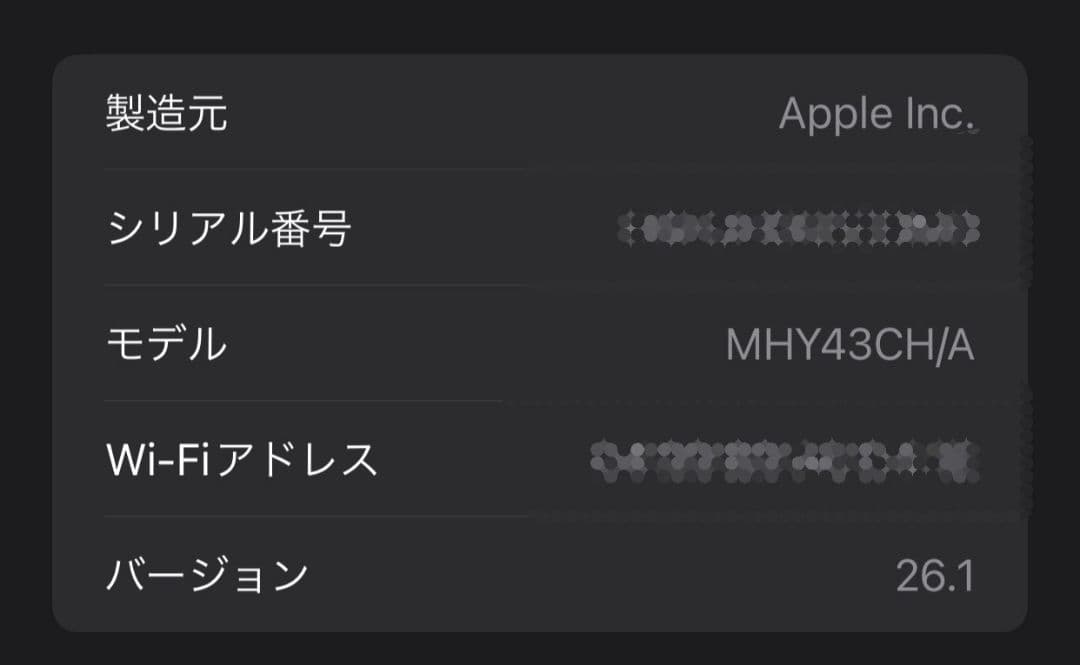 【動作確認済】Apple pod mini スペースグレー