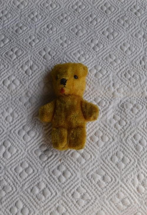 akiさま専用　small teddy bear 　小さなテディベア