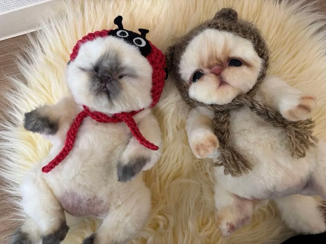 海外作家様作　アートドール　猫の赤ちゃん2体セット