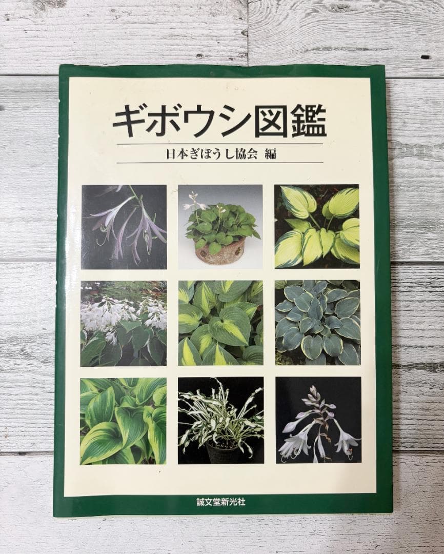 ギボウシ図鑑