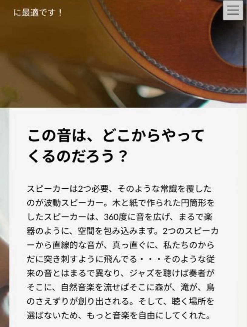 【カバー付き美品！】M'S System MS1001 波動スピーカー