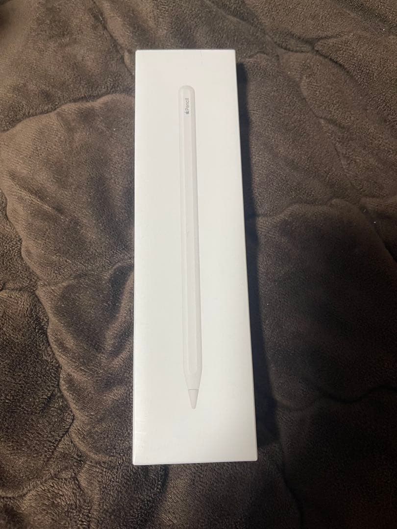 iPad Air5/5世代/256GB/wifi Apple pencil2世代