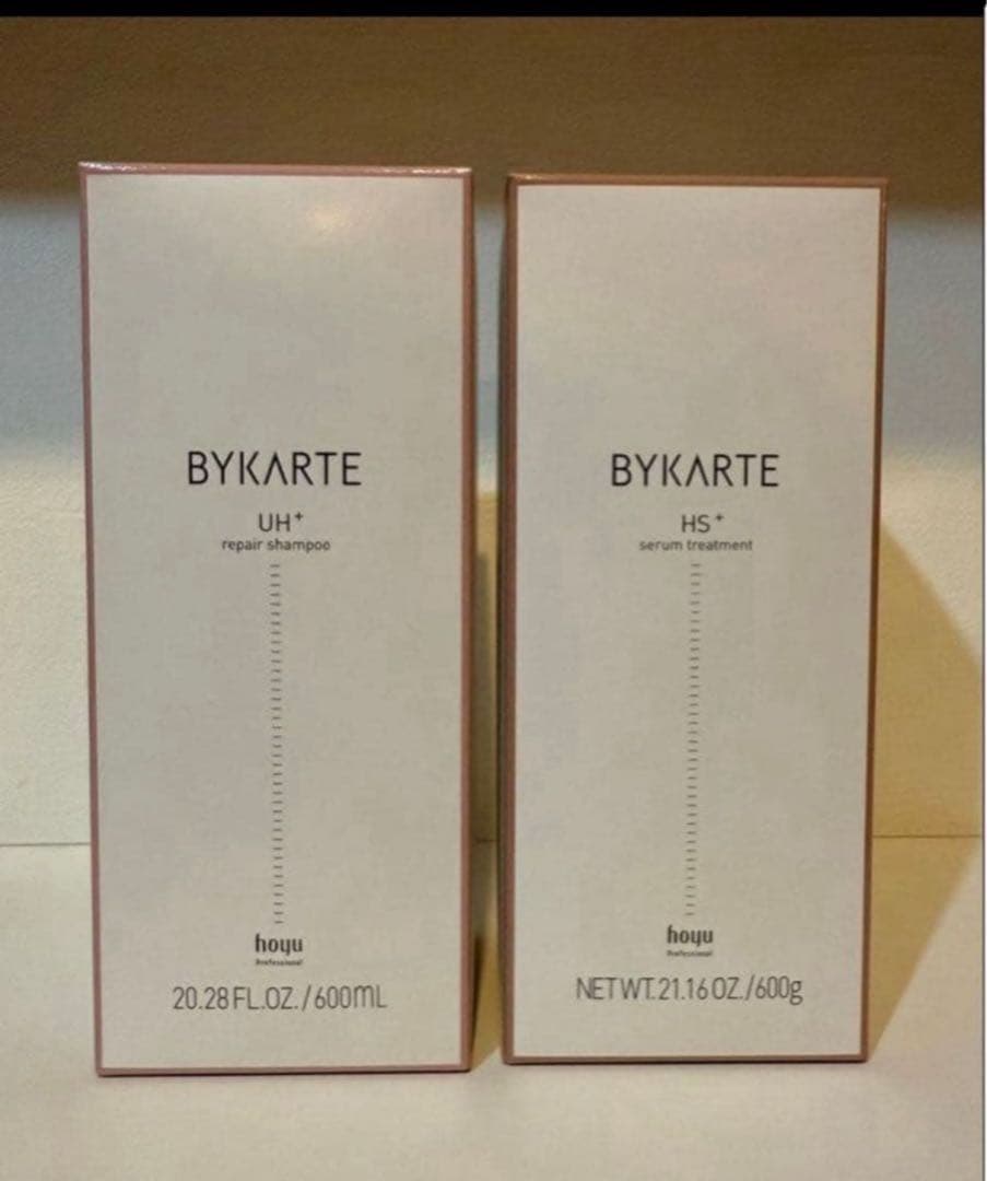 バイカルテ　UH HS 600