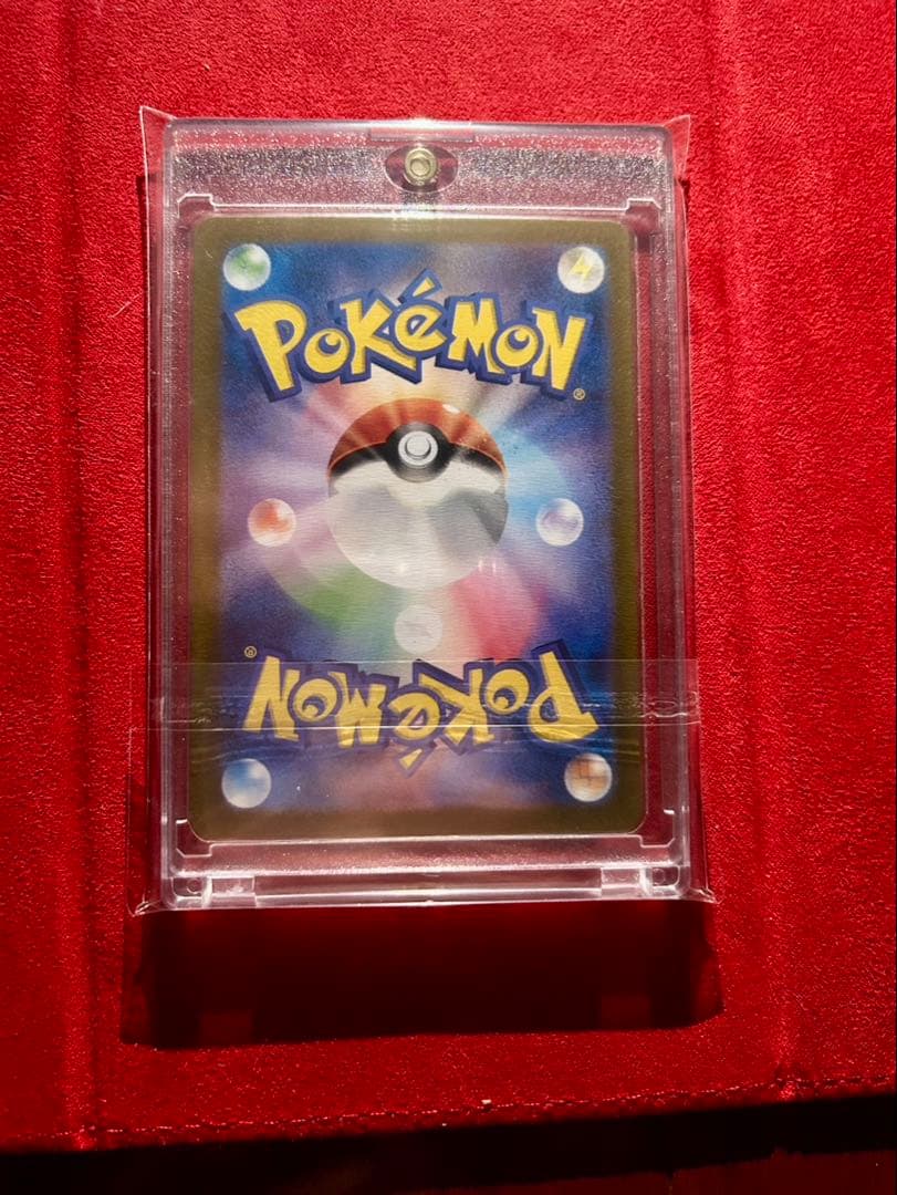 【PSA10候補】ゼイユ SAR sv6 130/101 美品