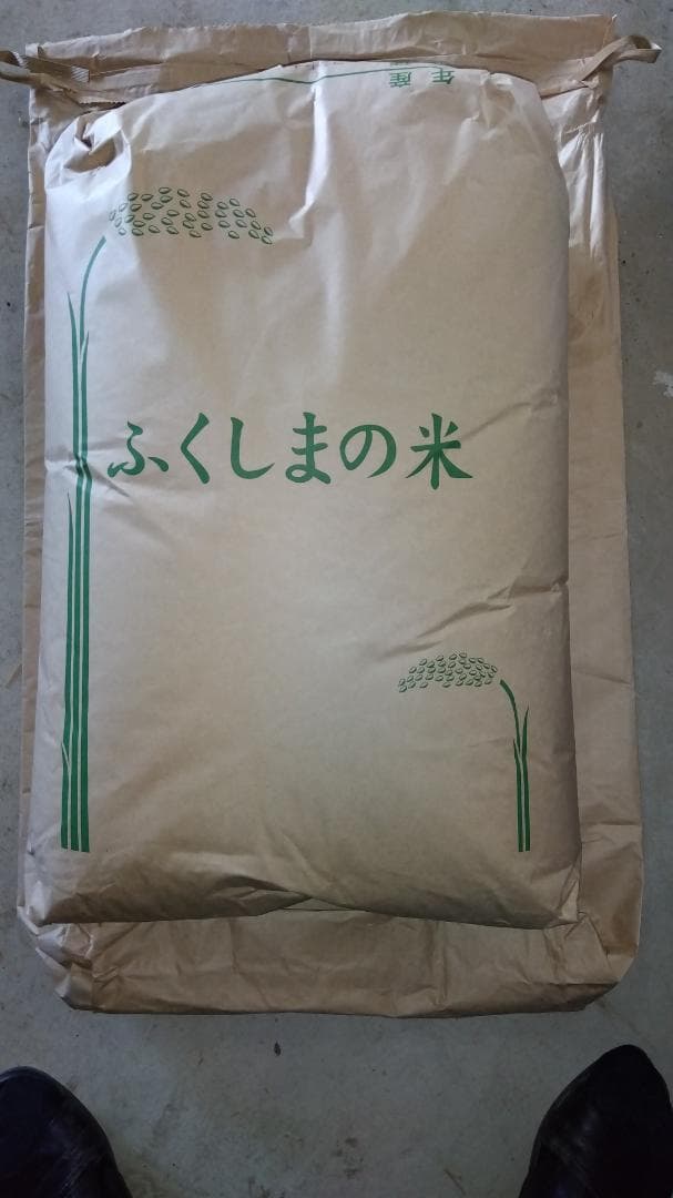 【令和７年産米】福島県産コシヒカリ 30kg　玄米