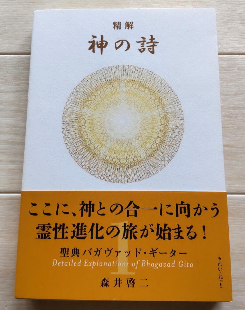 神の詩 聖典バガヴァット・ギーター 1　森井啓二著