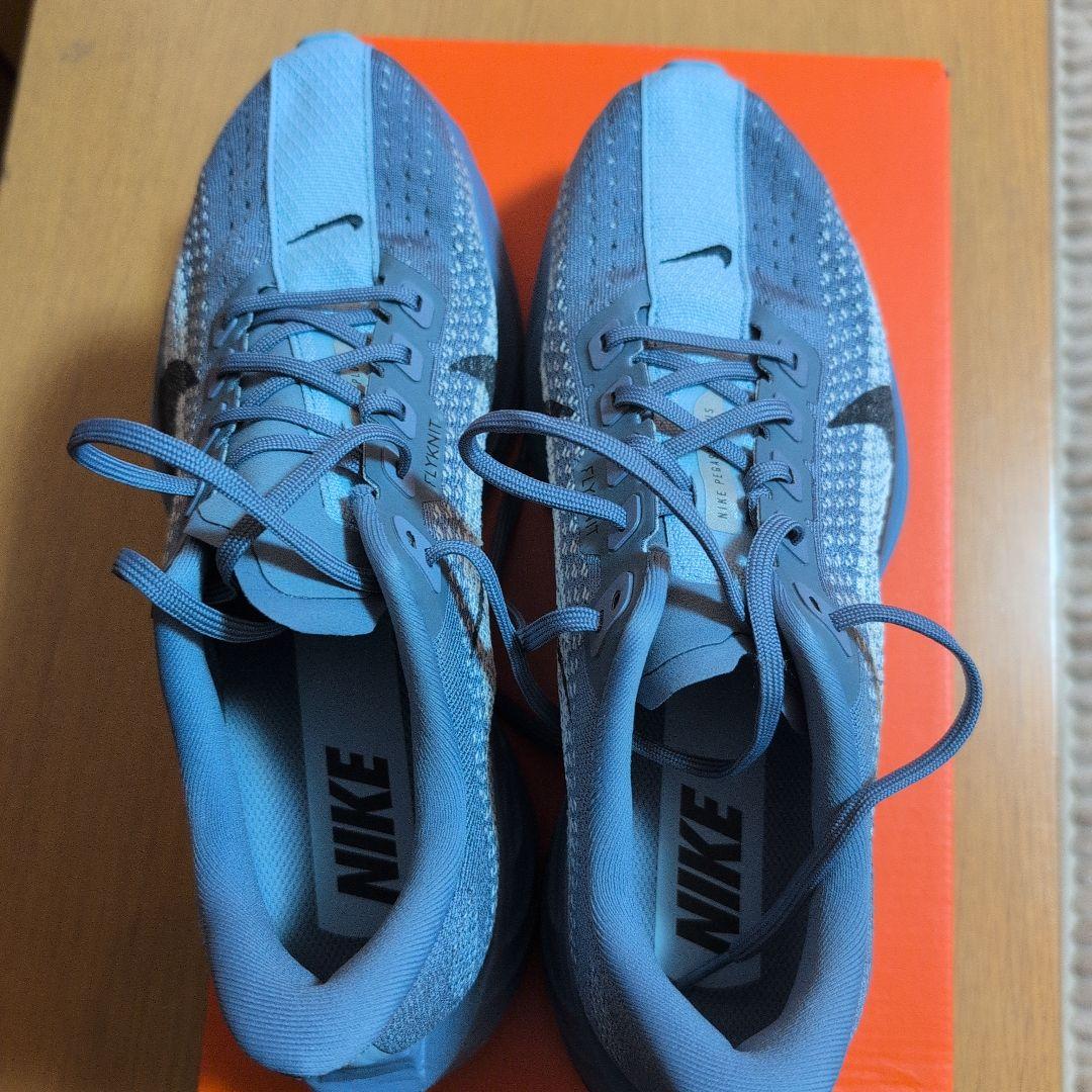 ナイキランニング ペガサス プラス