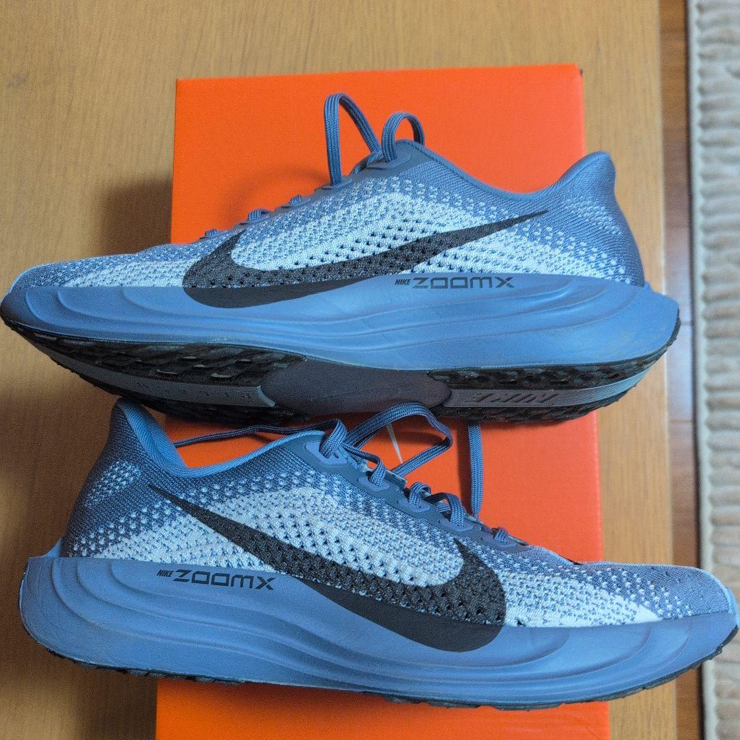 ナイキランニング ペガサス プラス