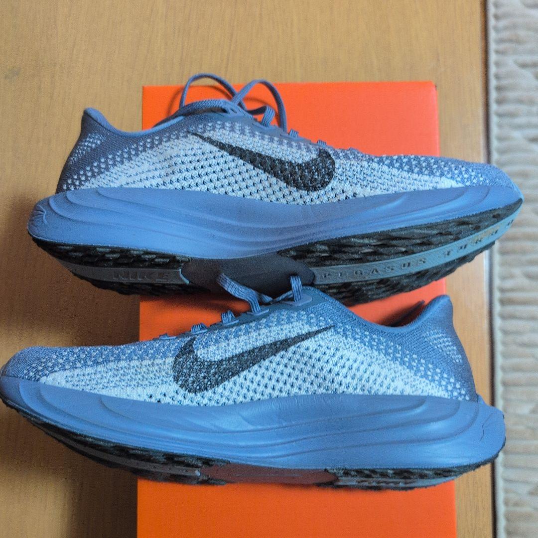 ナイキランニング ペガサス プラス