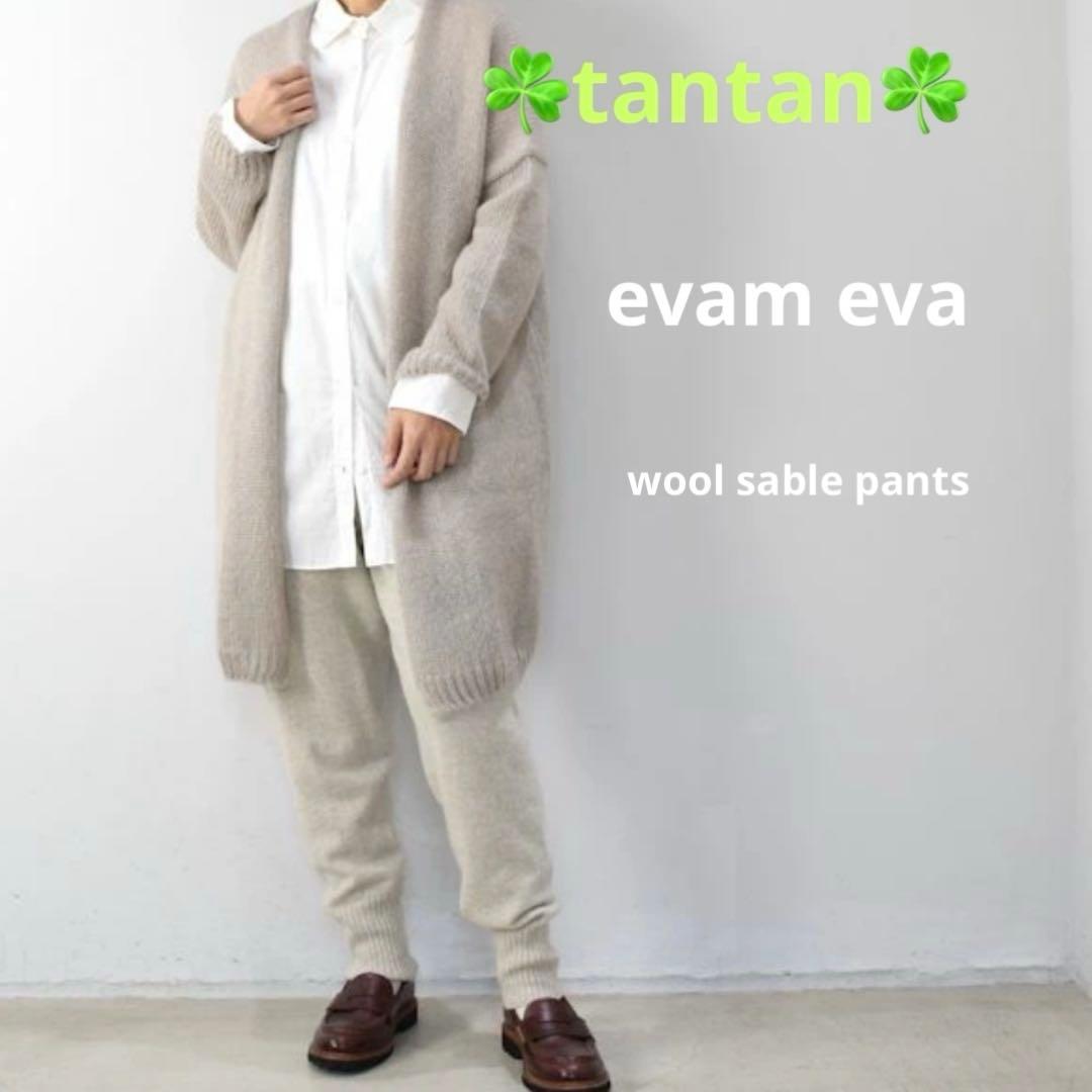タンタン購入　evam eva wool sable pants