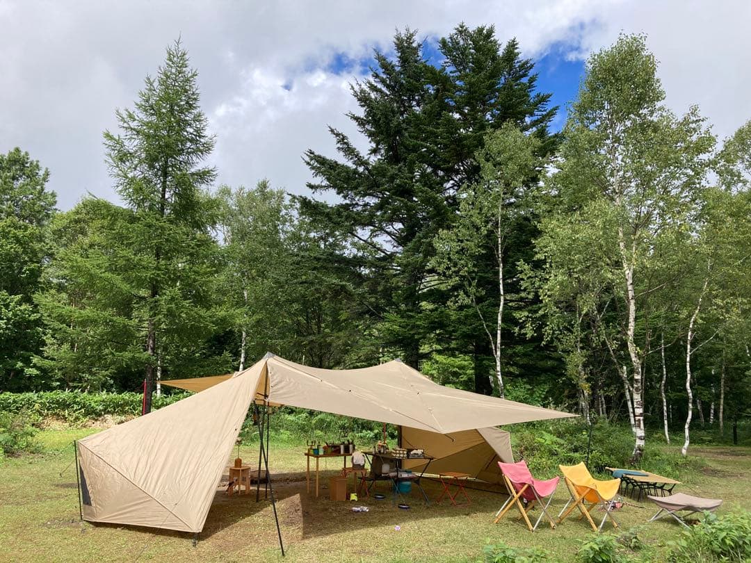 Xmas値下げ！ゼインアーツ ギギ2 PS-022/ZANEARTS