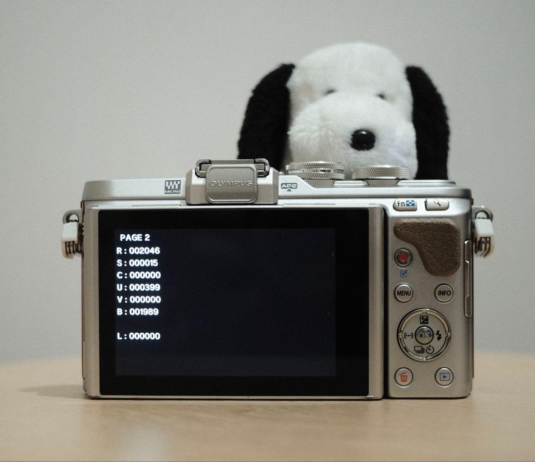 【美品】OLYMPUS PEN E-PL8 ダブルズームキット ミラーレス一眼