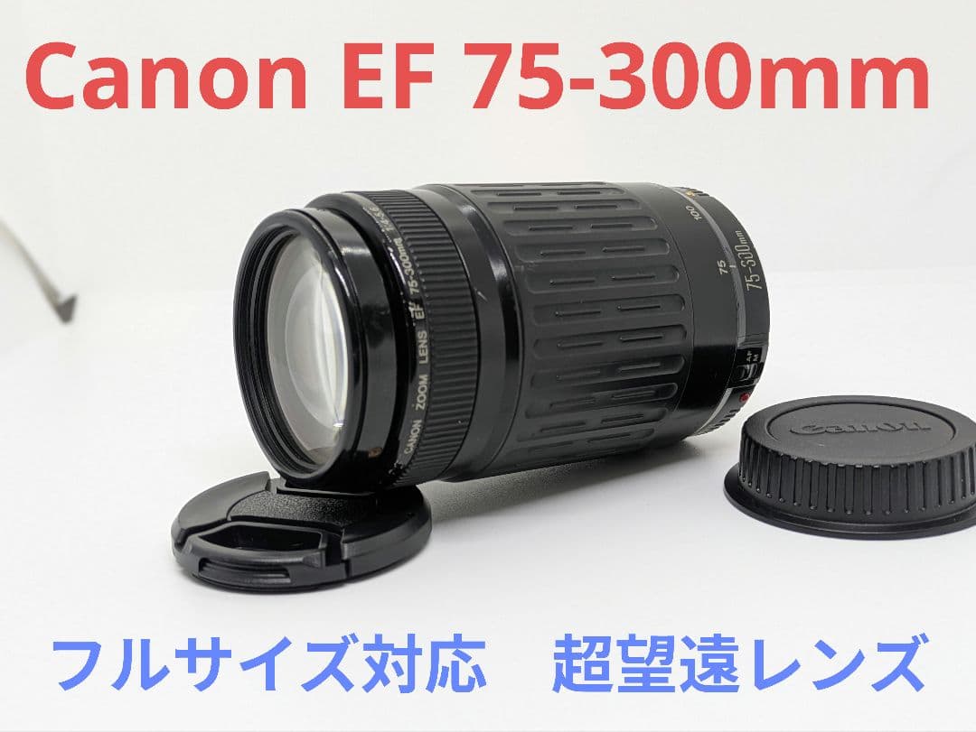 1月19日限定販売♪【超望遠レンズ】Canon EF 75-300mm