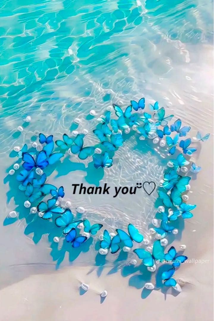 ❤️かっぱちゃん様❤️