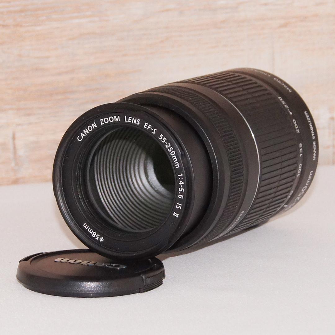 望遠レンズ✨ キャノン EF-S 55-250mm IS Ⅱ 手ブレ補正♡