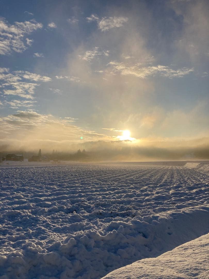 令和7年魚沼産コシヒカリ　精米10kg