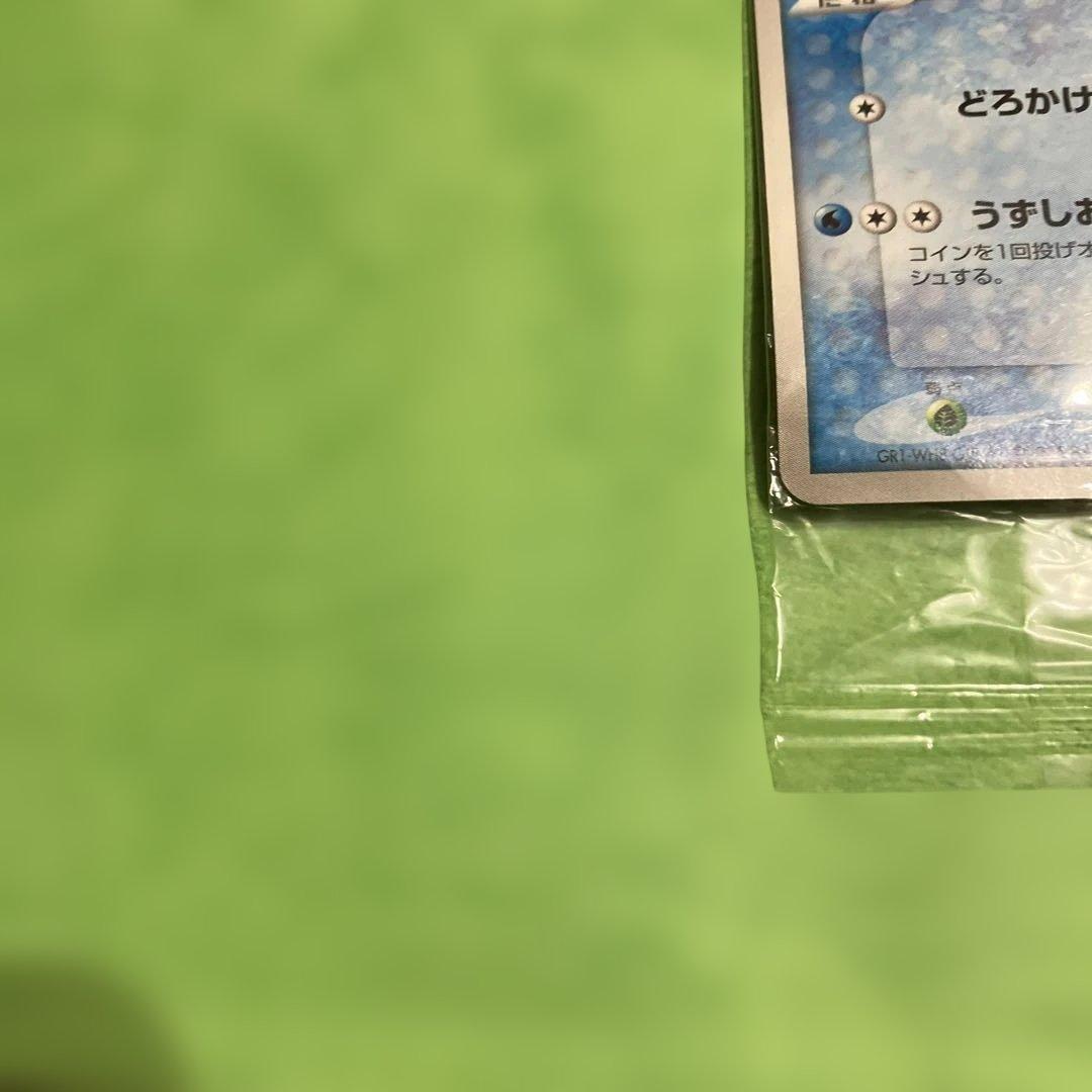 k*i様 ポケパークのミズゴロウ プロモ　ミズゴロウのスプラッシュアドベンチャー