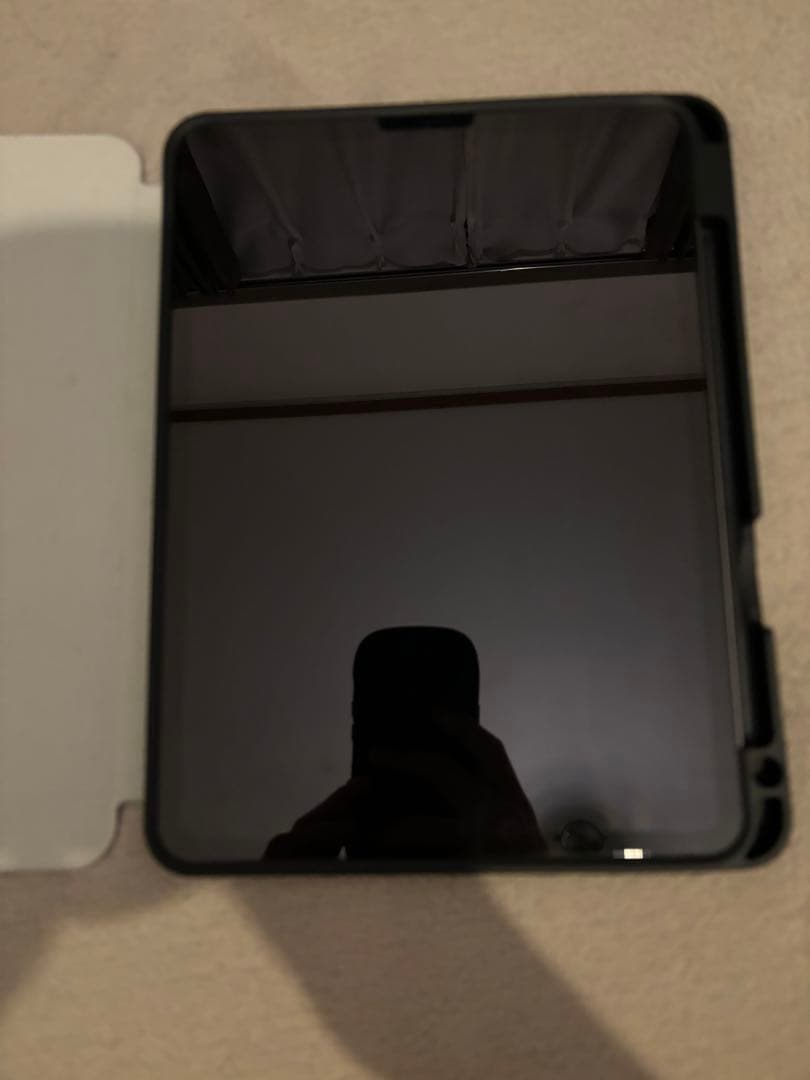 美品 iPad Pro 11インチ 256GB SIMフリ－(ケース付)