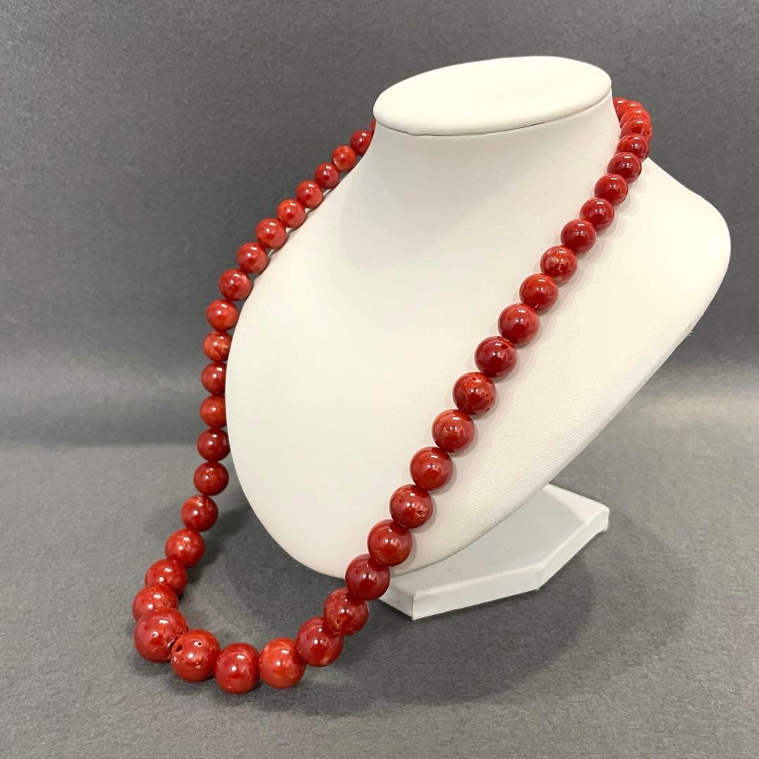 【F】本珊瑚 赤珊瑚 ネックレス レディース