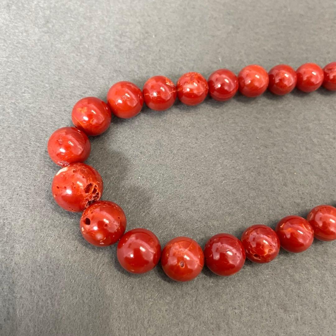 【F】本珊瑚 赤珊瑚 ネックレス レディース