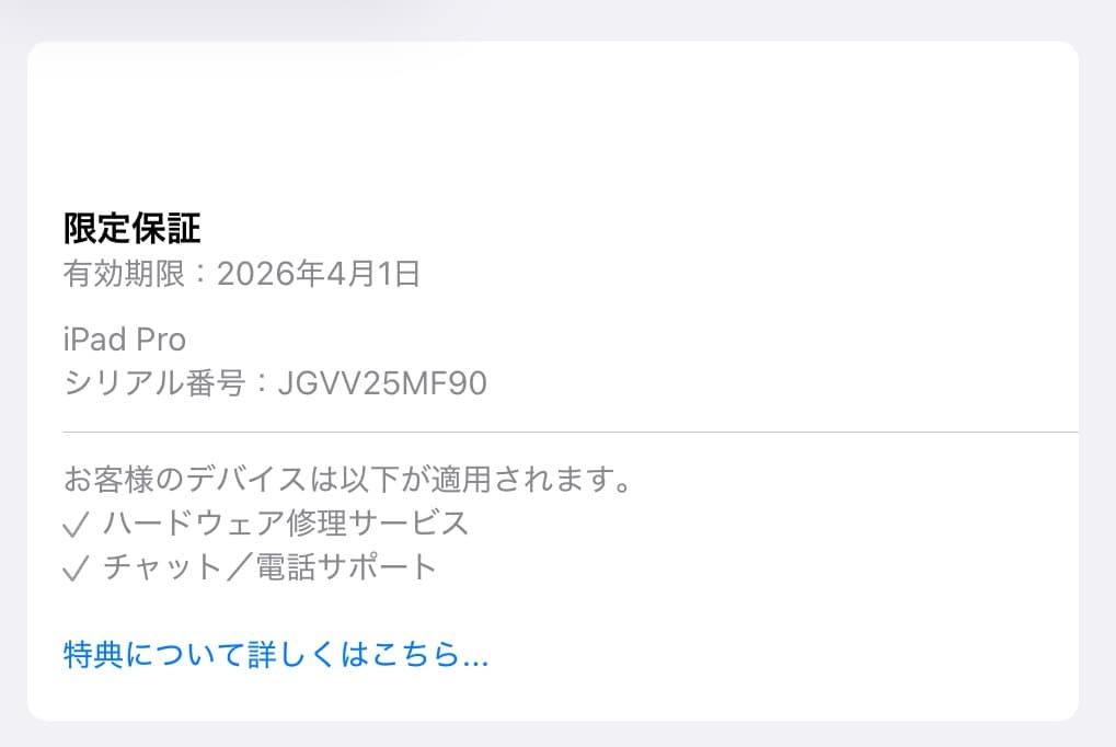 iPad Pro 11 M4チップ シルバー 限定保証あり