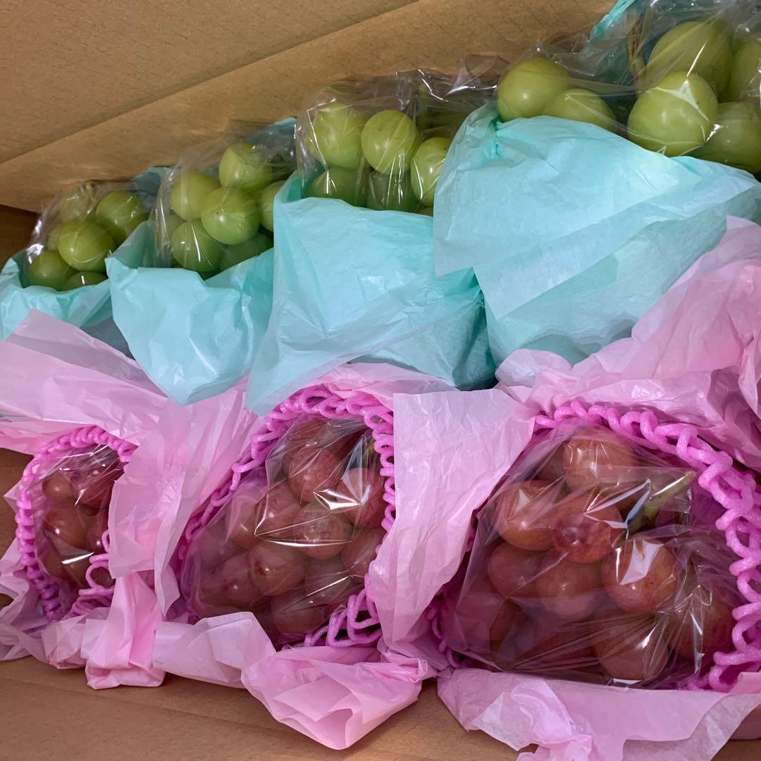 信州シャインマスカット&クイーンルージュ®︎（4.5キロ以上）