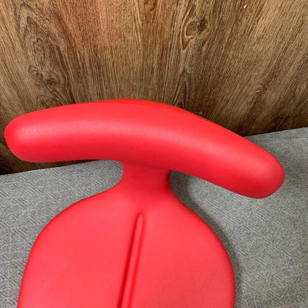 J608 アーユル メディカルシート ayur medical 赤 姿勢矯正