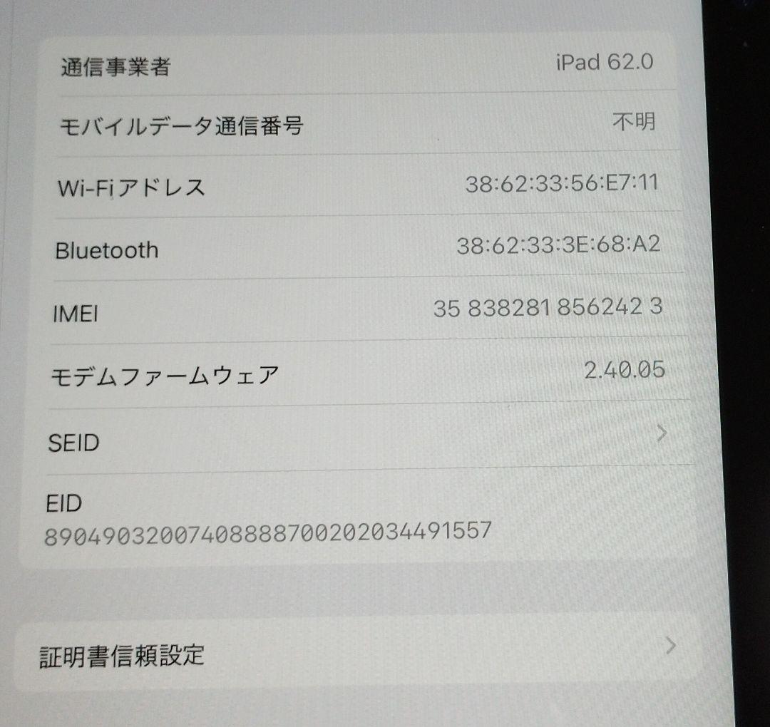 【未使用に近い】iPad (A16) Wi-Fi+Cellular 128GB