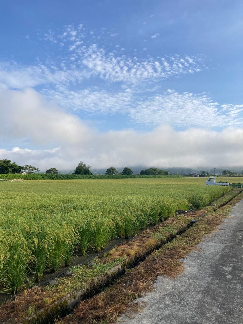 魚沼コシヒカリ精米10kg