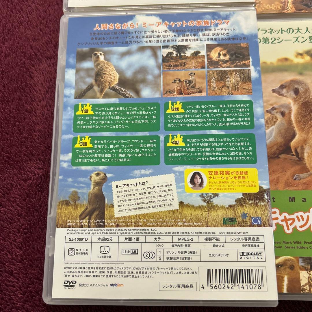 《激レア》アニマルプラネット ミーアキャットの世界 シーズン1 ＆2 全巻セット