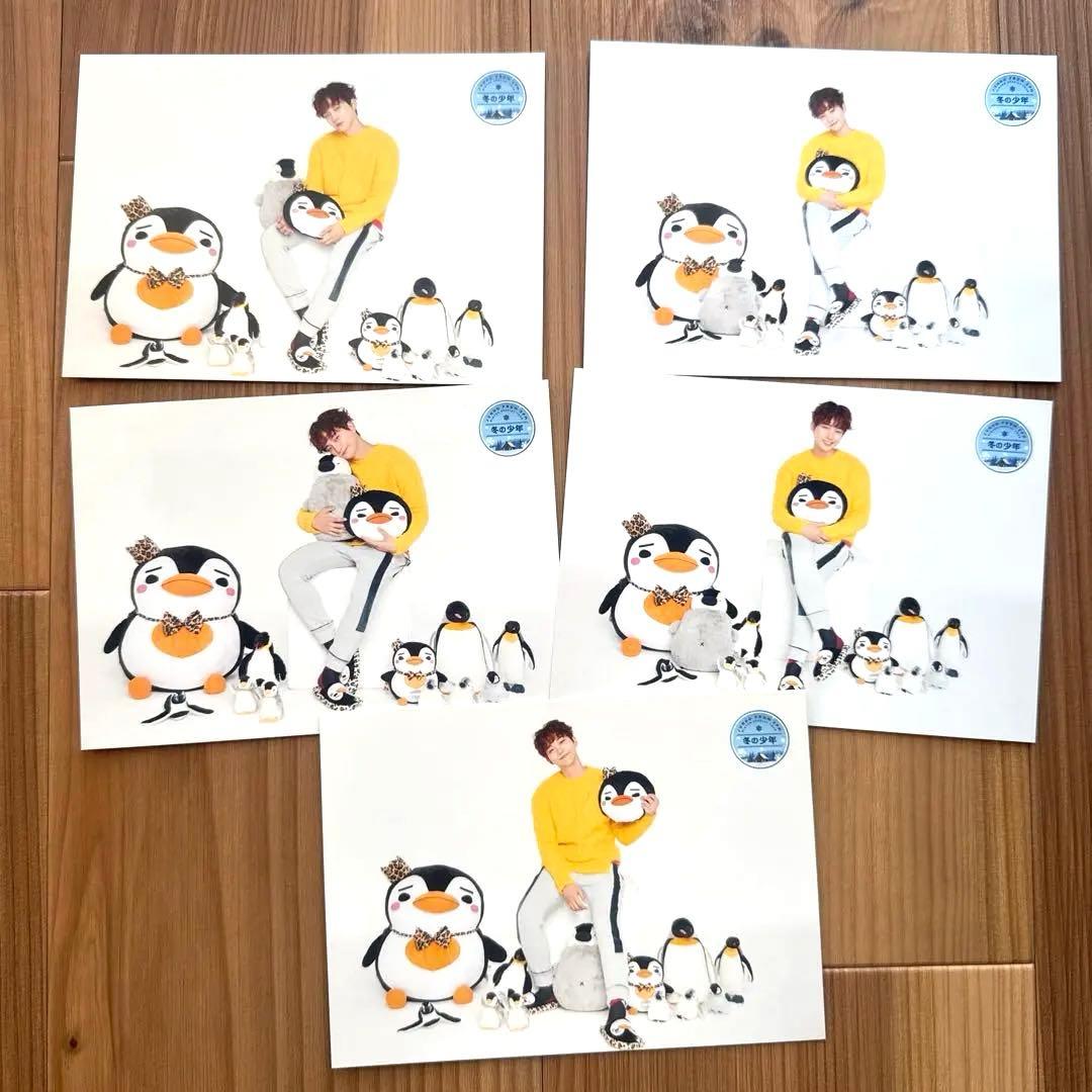 ジュノ 2PM 冬の少年 ランダムトレカ 5枚コンプd