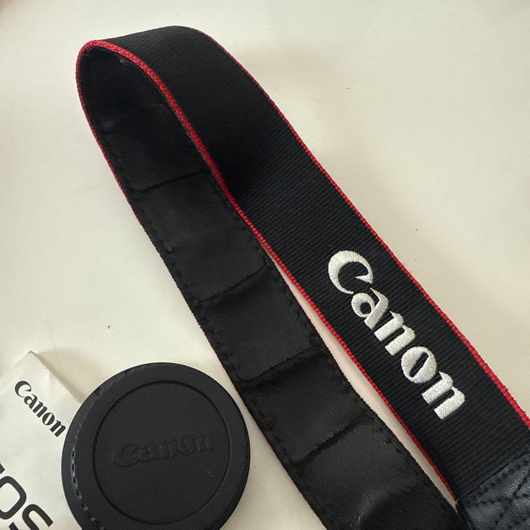 Canon EOS Kiss X2 ズームキット