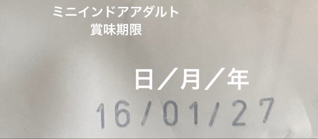  CANIN ミニインドアアダルト 10kg