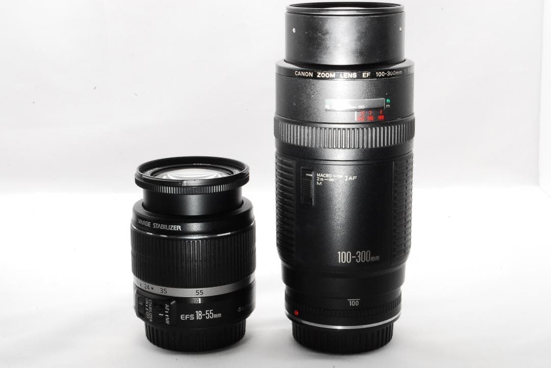 広角〜望遠まで◎憧れの一台Canon EOS Kiss X5ダブルレンズ