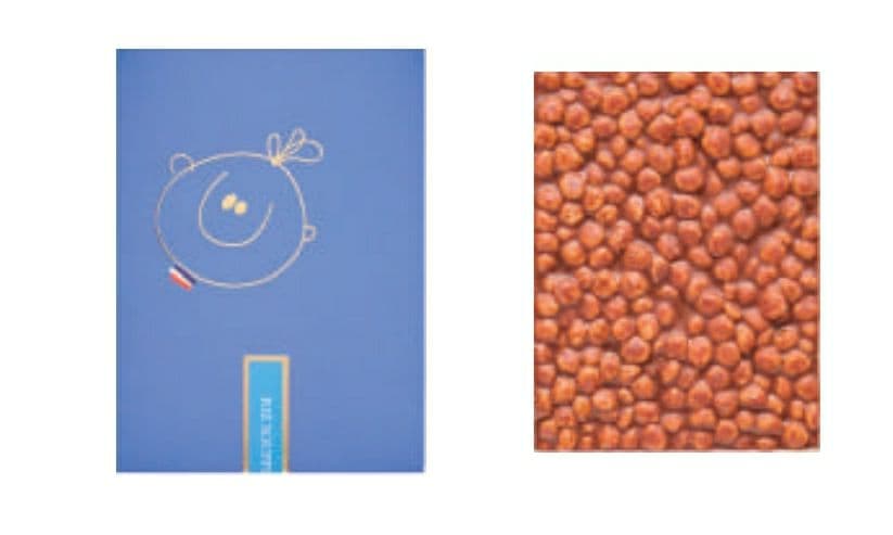 ポール オキパンティ　タブレット リズ スフレ キャラメリゼ レ