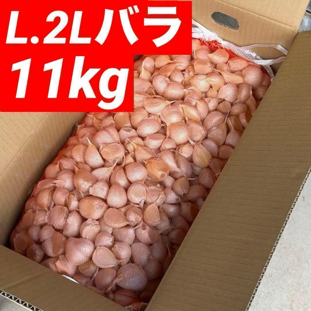 【数量限定】新物 青森県産 にんにく L,2Lバラ11kg 福地ホワイト タネ