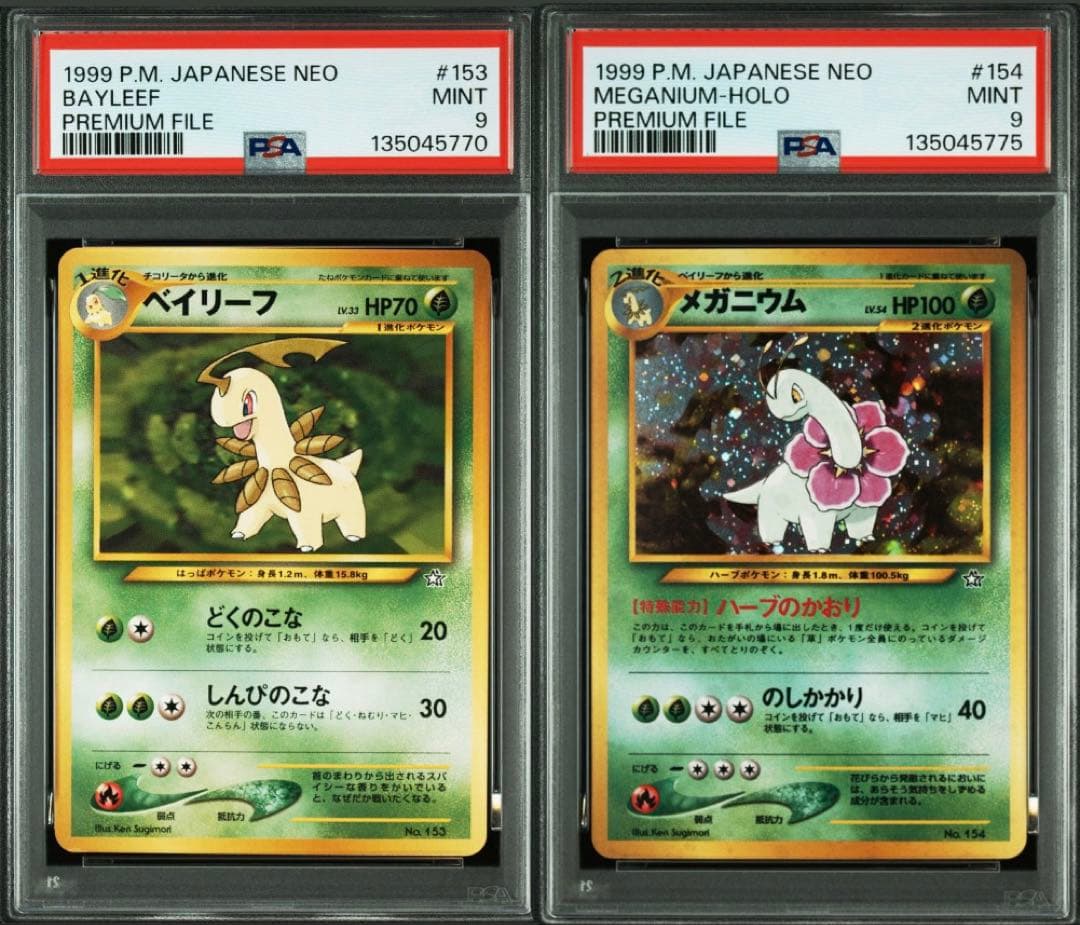 PSA9 旧裏　プレミアムファイル　ベイリーフ　メガニウム