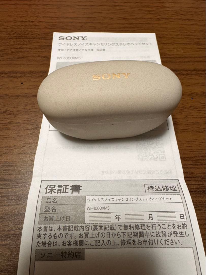 SONY ワイヤレスイヤホン　WF-1000XM5