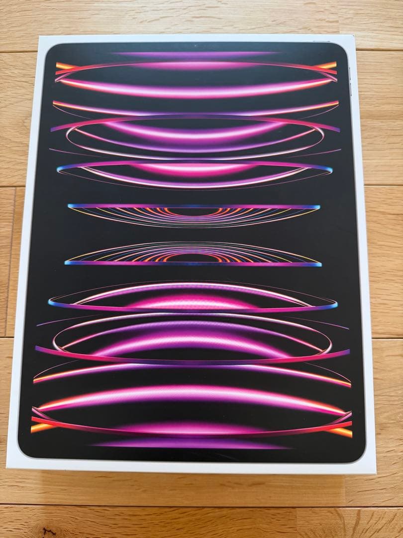 【極美品】iPad Pro 12.9インチ 第6世代 Wi-Fi専用ケース付