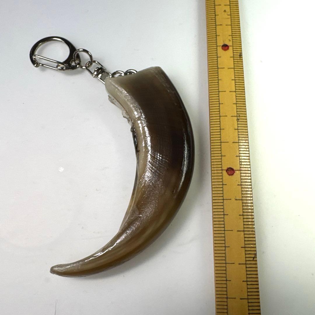 羆 熊の爪 超BIG 8cm②