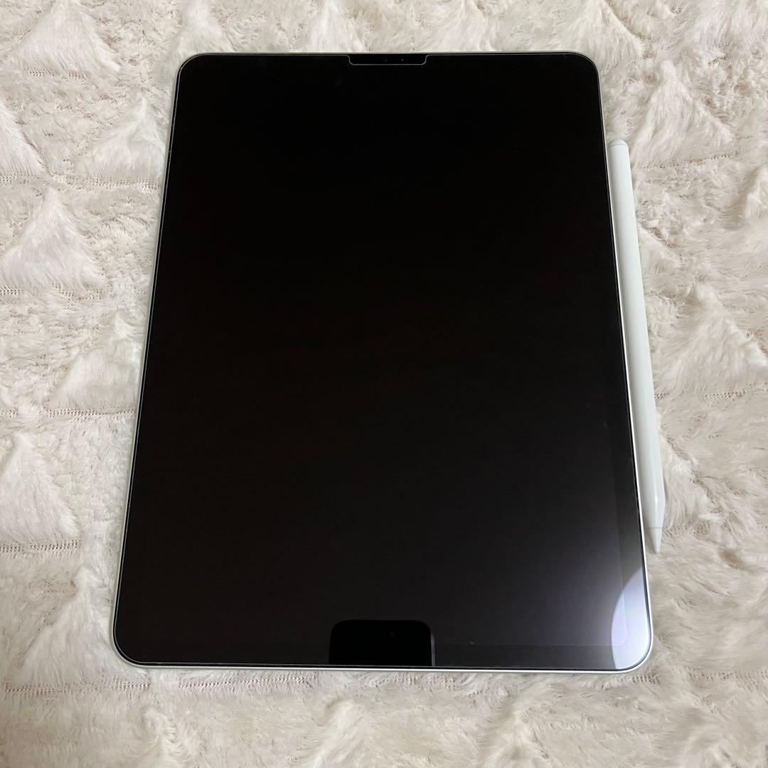 iPadPro 11インチ 第2世代 256GB