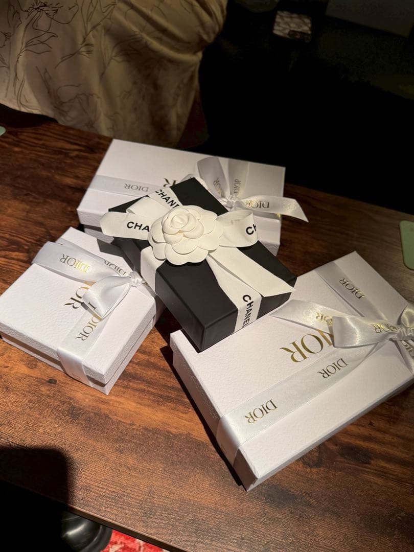 dior iPhone 17 Pro ケース