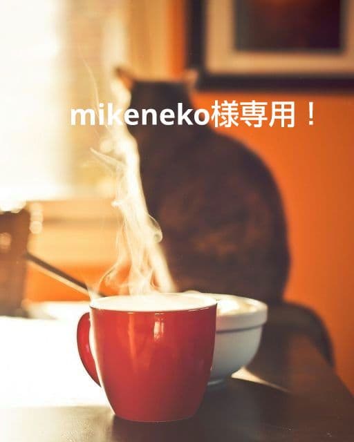 mikenekoさま専用！