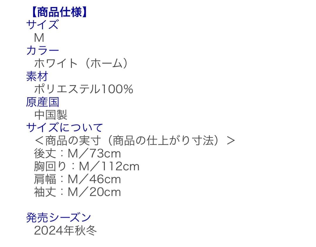 侍ジャパン ミズノ公式ユニフォーム 中日ドラゴンズ 高橋宏人 #19 Mサイズ
