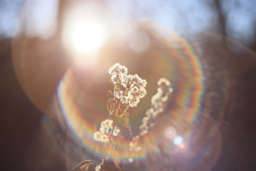 Super-Takumar 55mm F1.8 初期型 S/N：842127