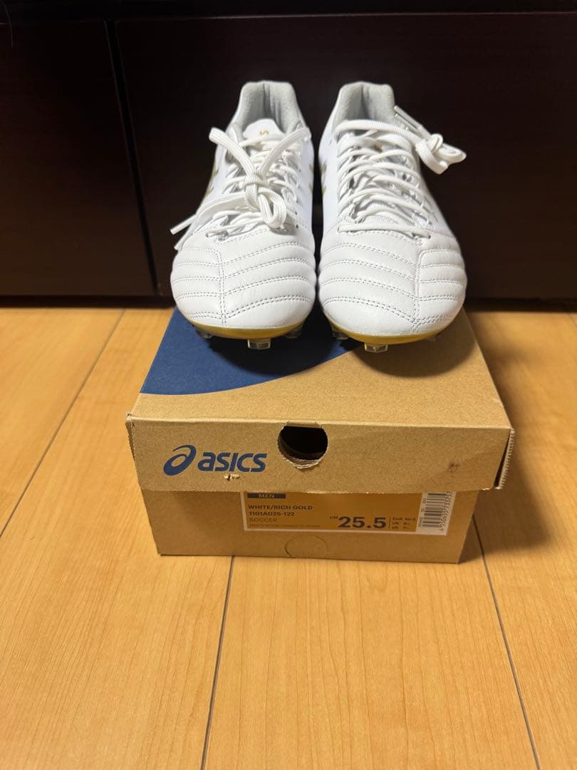 シューズ asics DS LIGHT X-FLY PRO 25.5cm