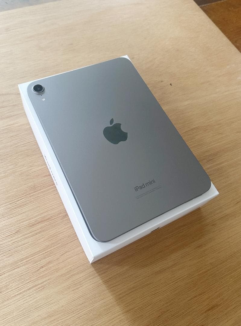 美品 iPad mini A7 PRO 256GB スペースグレイ 保証あり